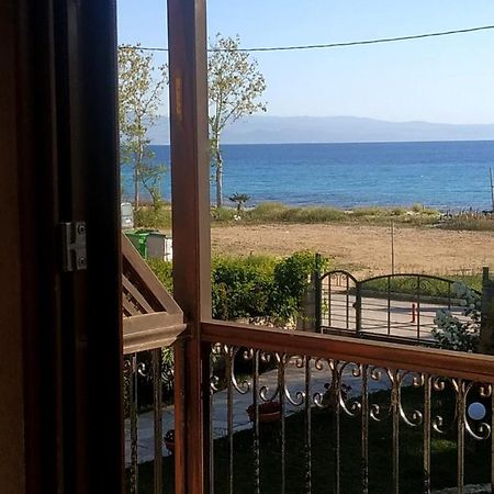 Studios Galanis Afytos Dış mekan fotoğraf
