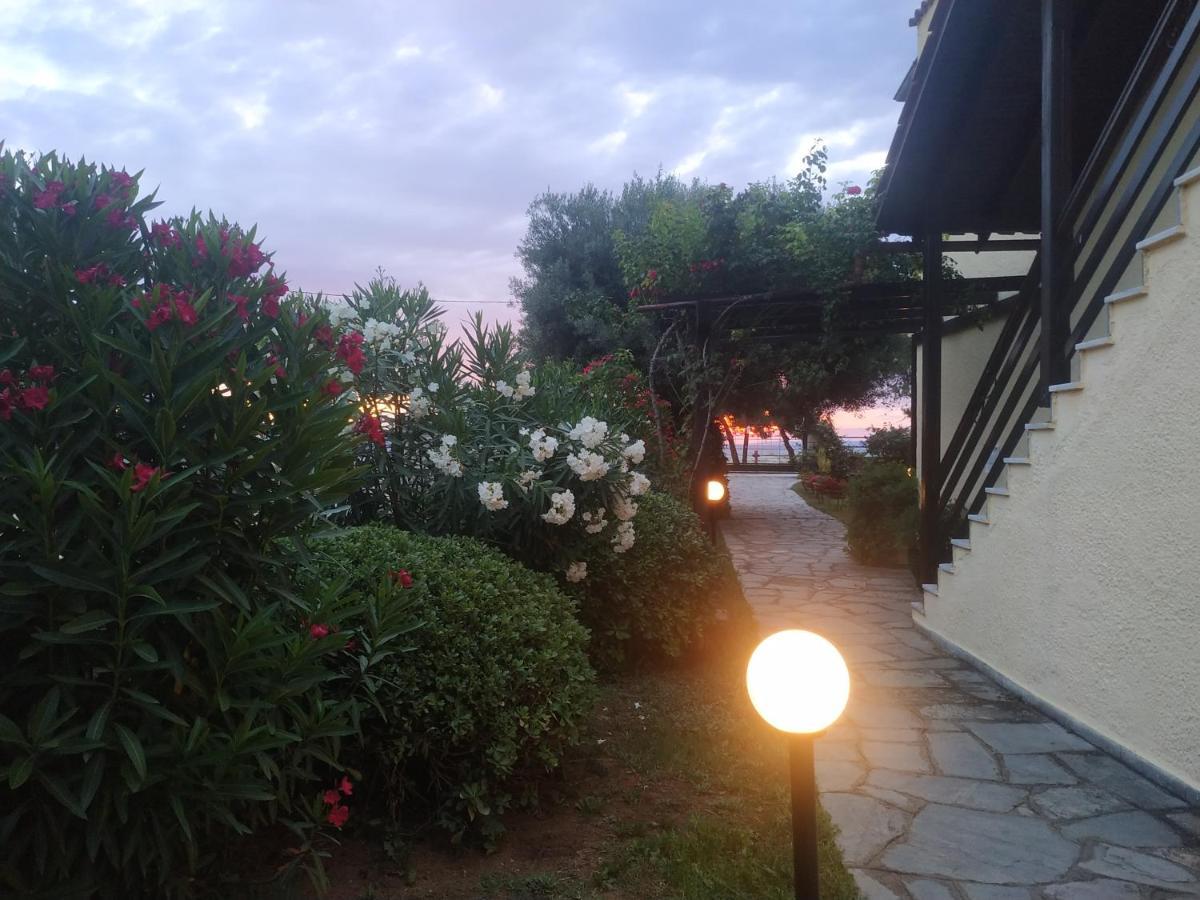 Studios Galanis Afytos Dış mekan fotoğraf